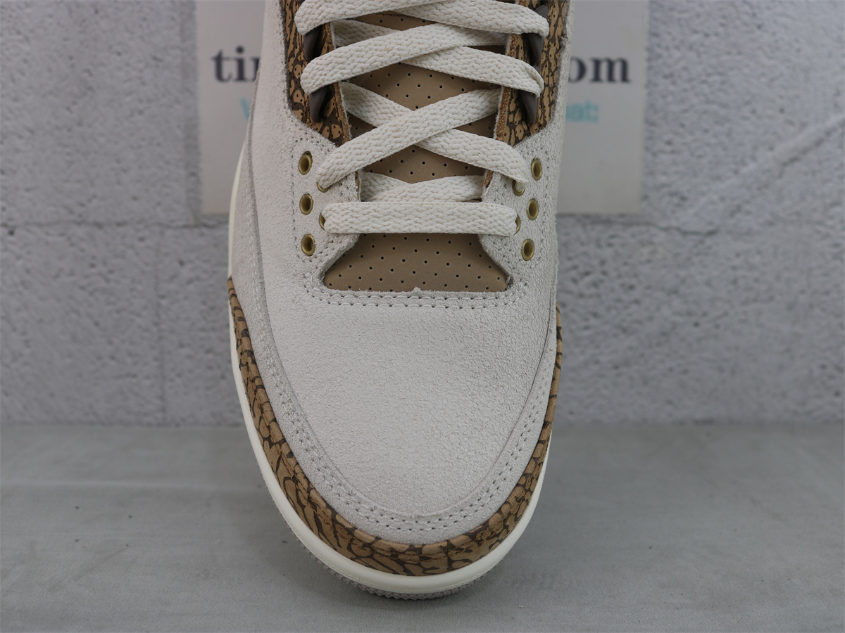 Air Jordan 3 Retro Palomino CT8532-102